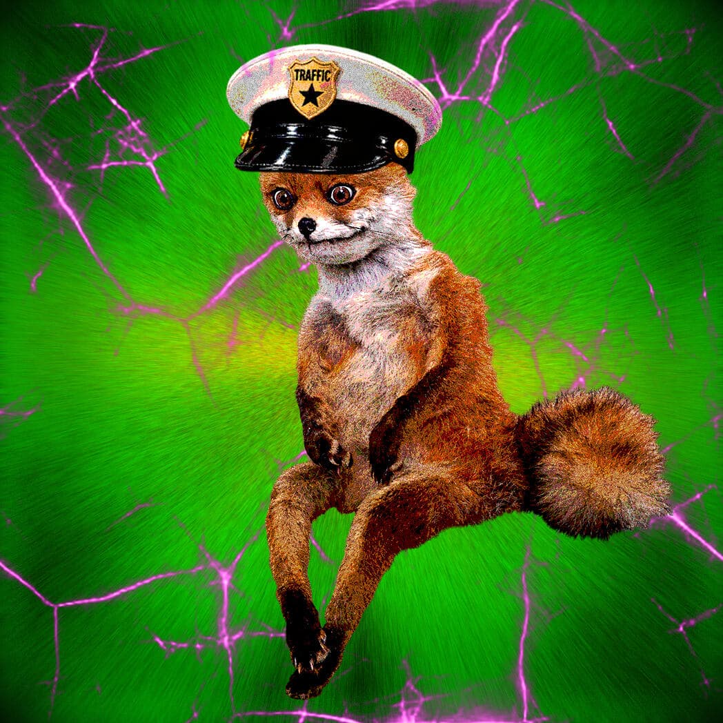 Cash Fox #9958