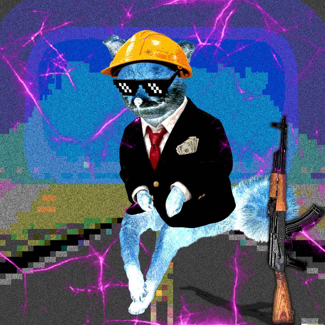 Cash Fox #9966