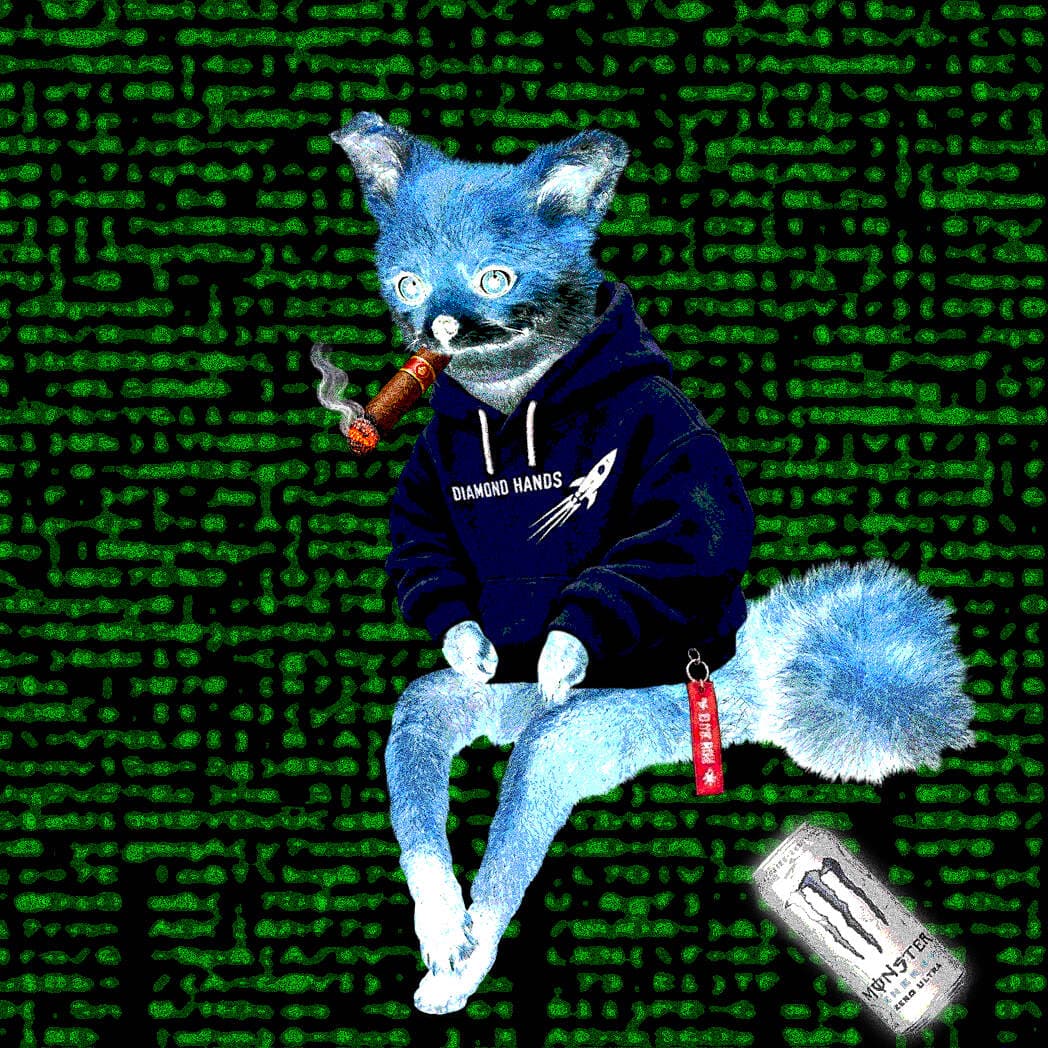 Cash Fox #9994