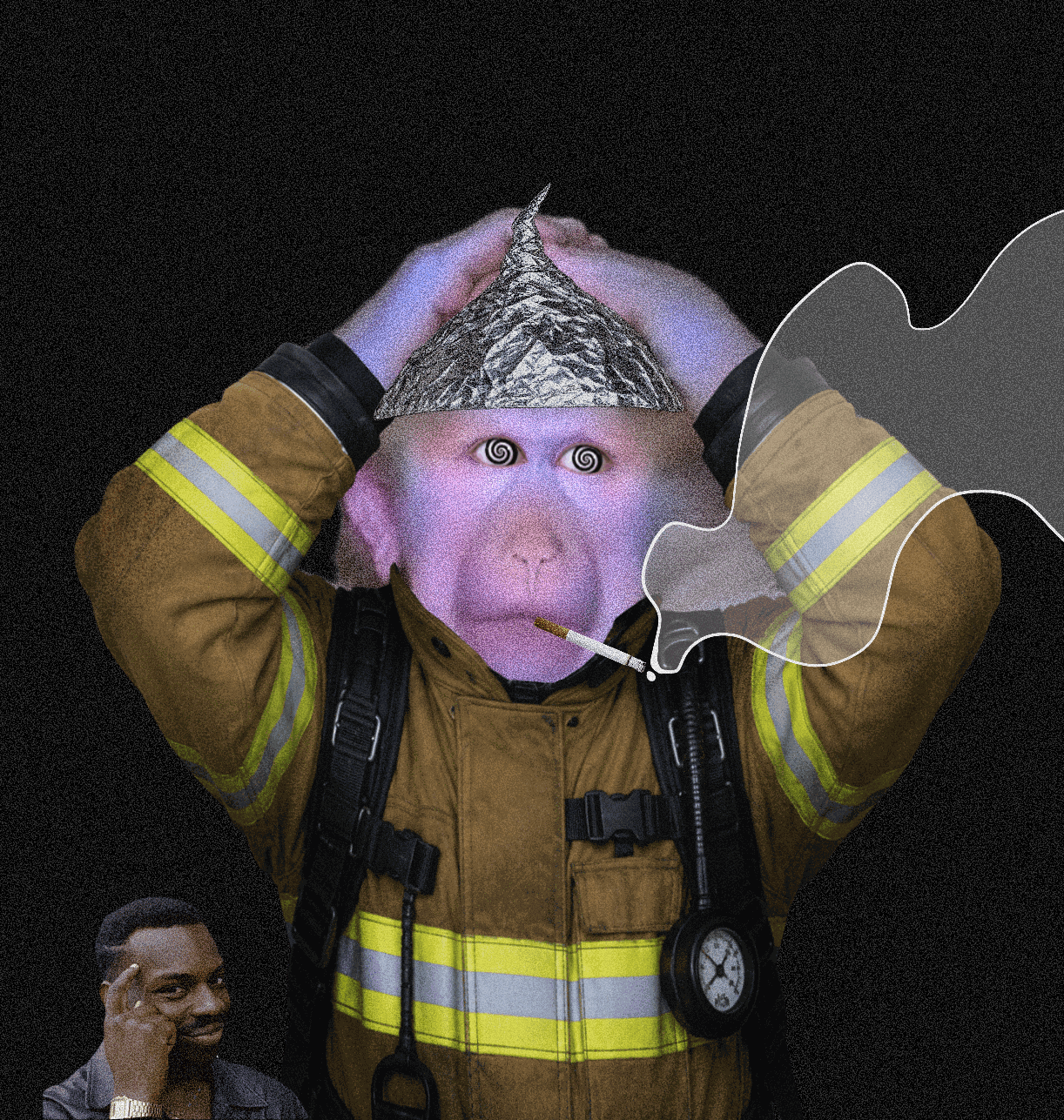 cash monkeys #3301