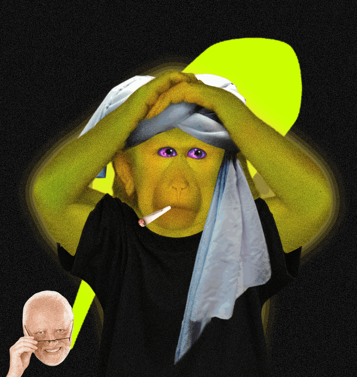 cash monkeys #3303