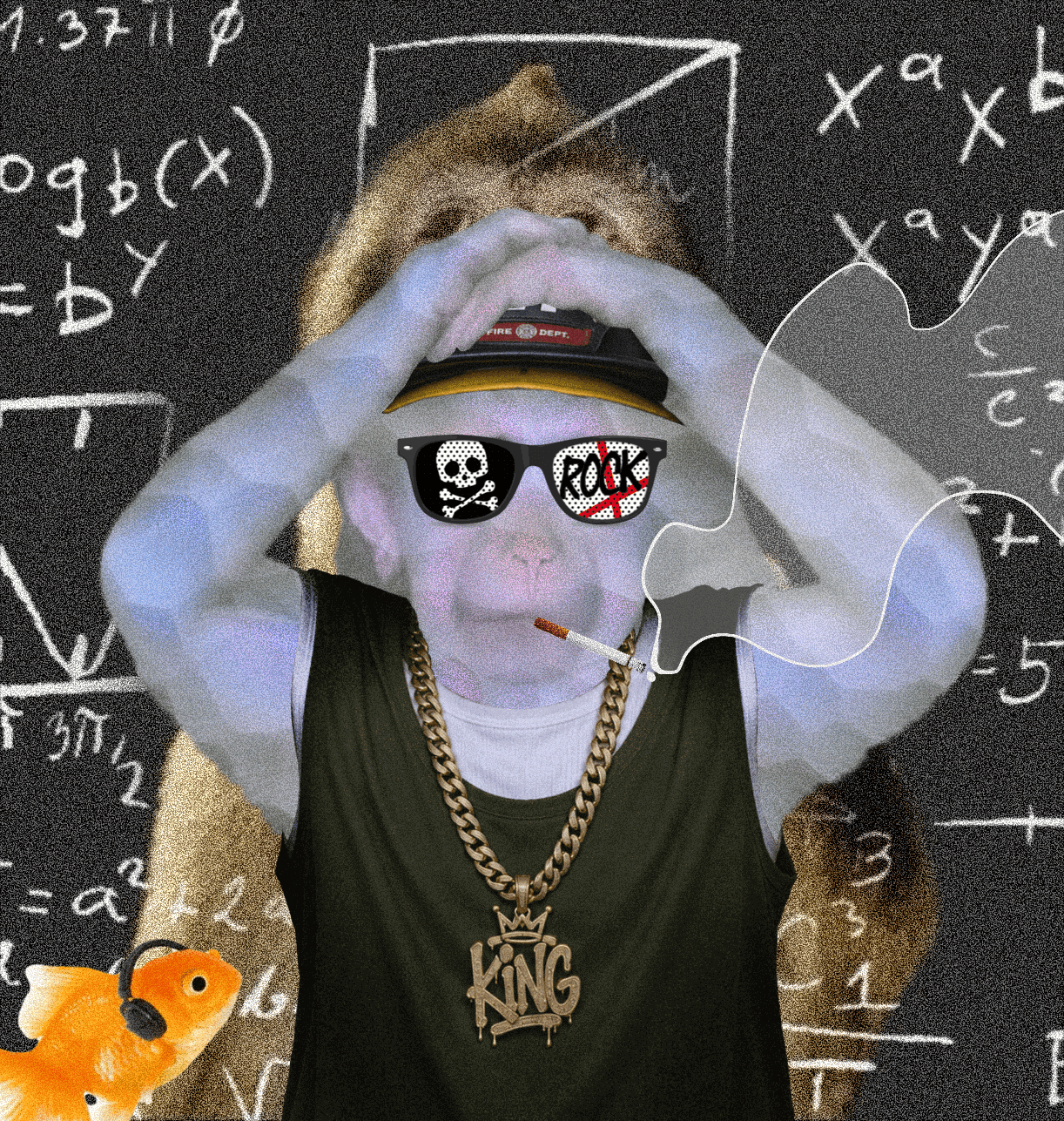 cash monkeys #3331