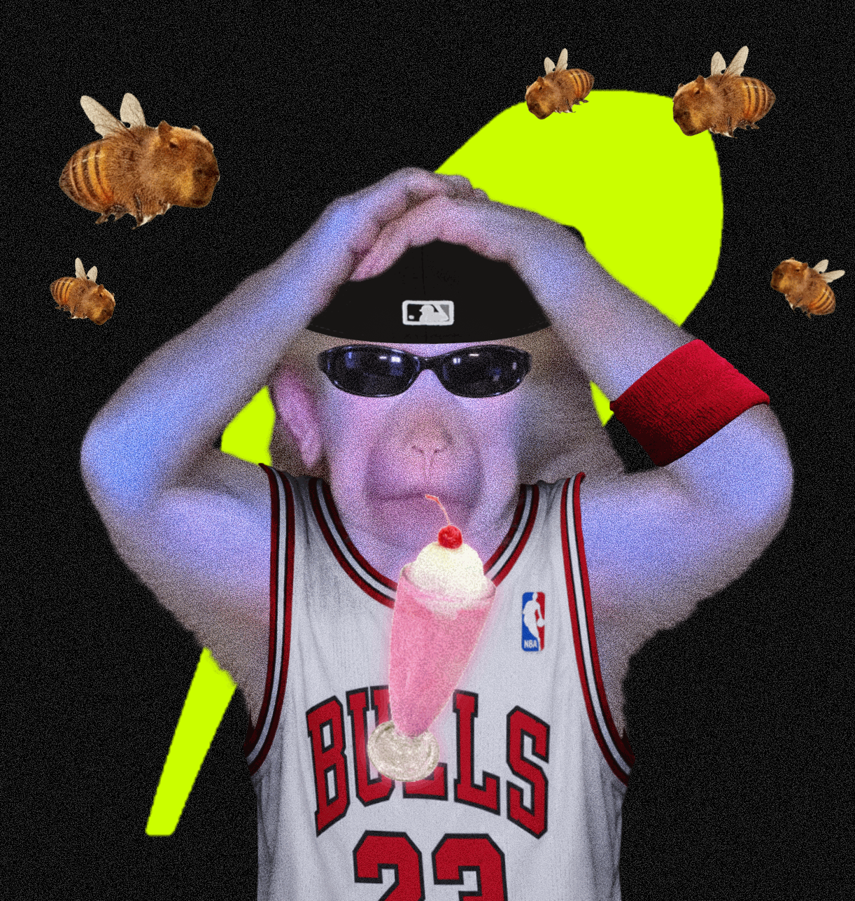 cash monkeys #68