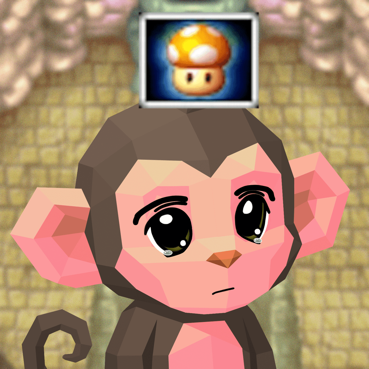 Chimp #208
