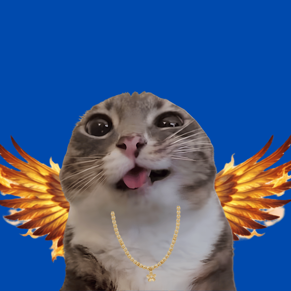 CHAOSCATS #4893