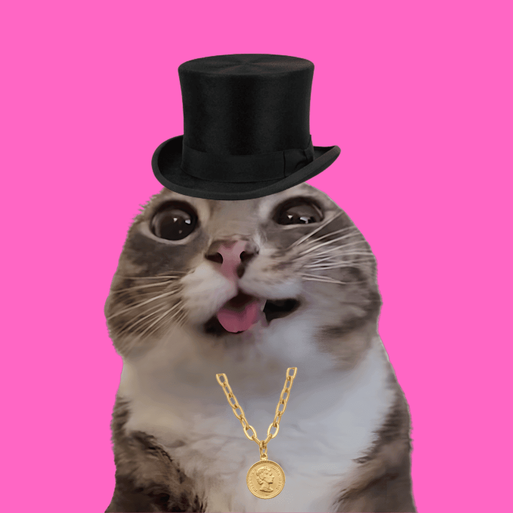 CHAOSCATS #9979