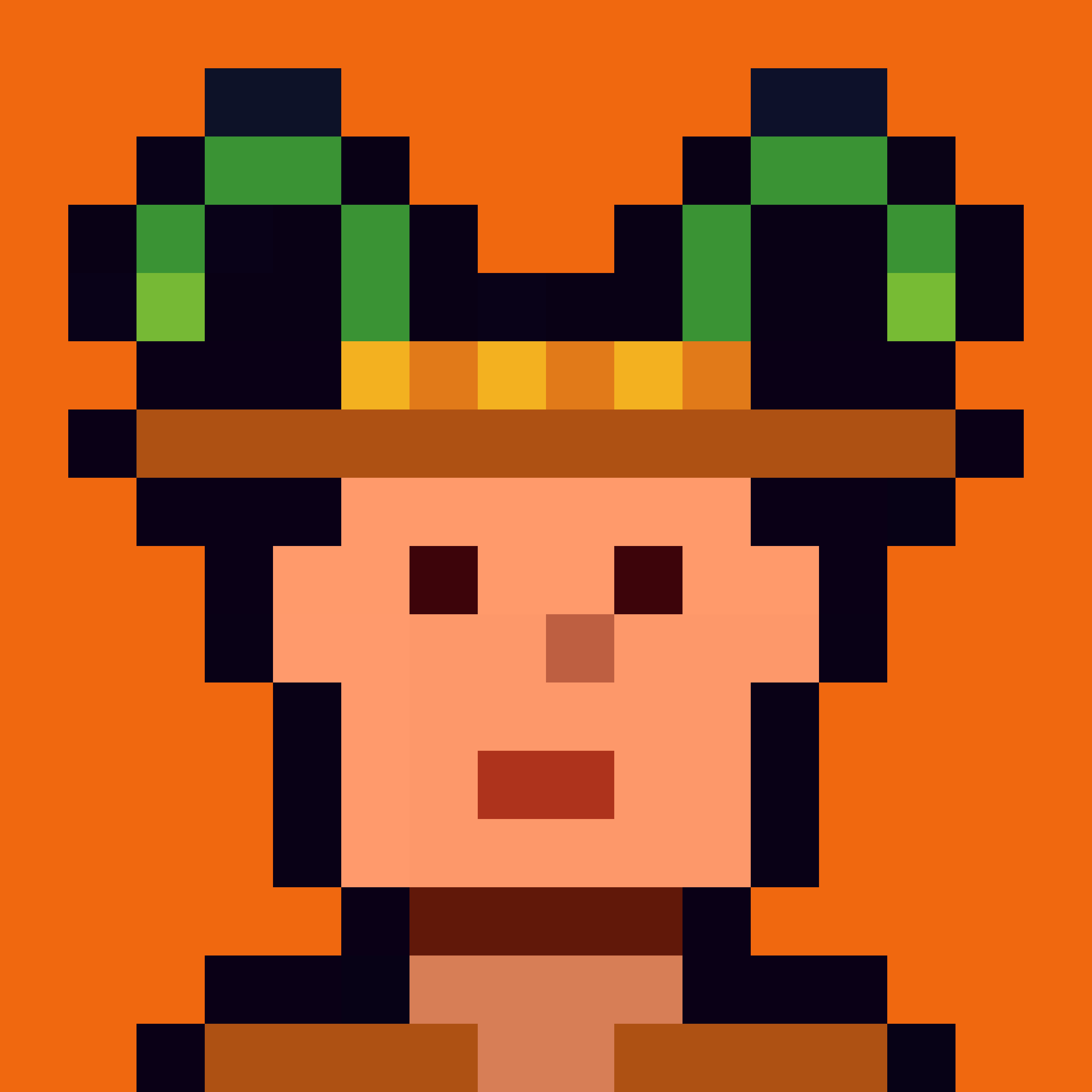 Robin-Punk #5418