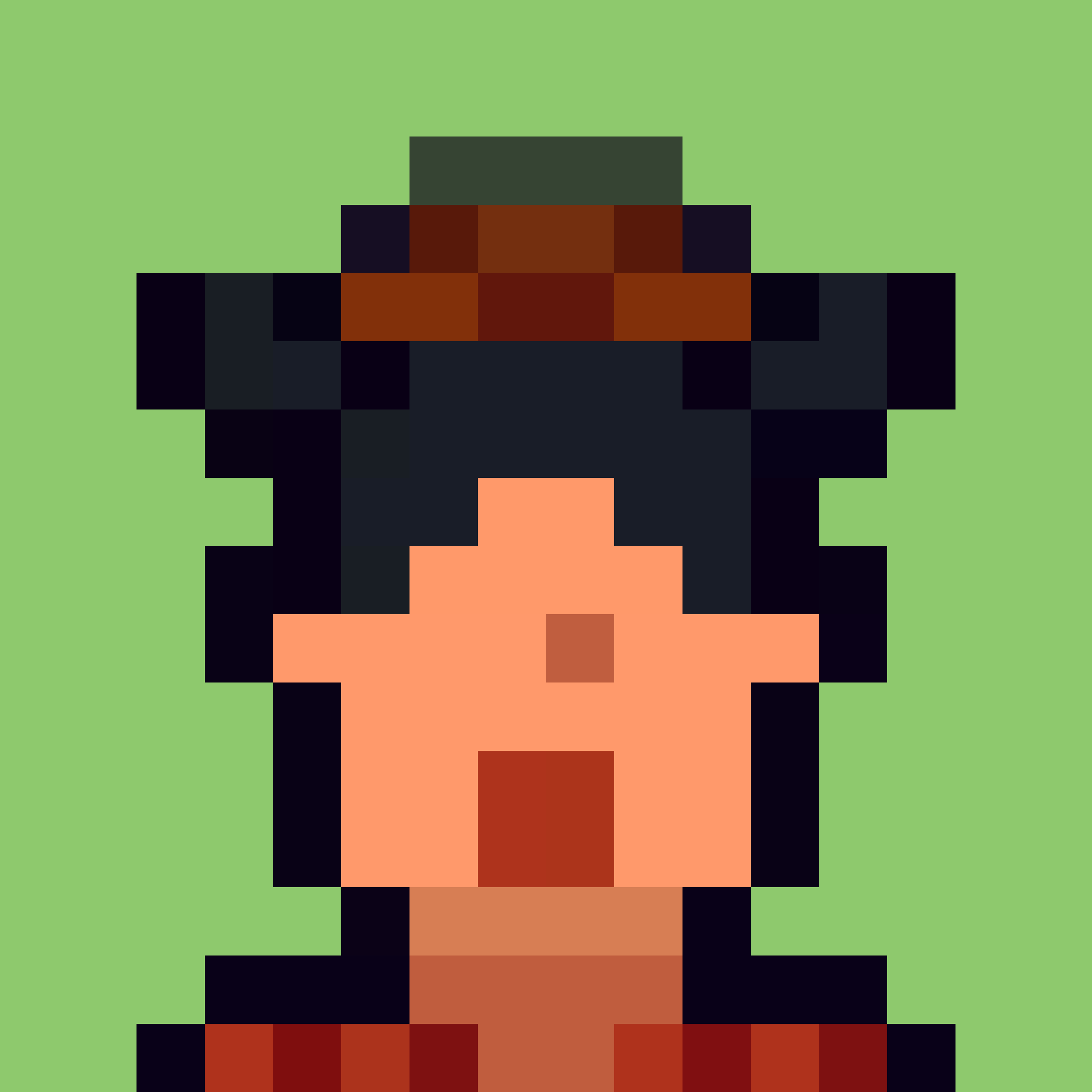 Robin-Punk #5420