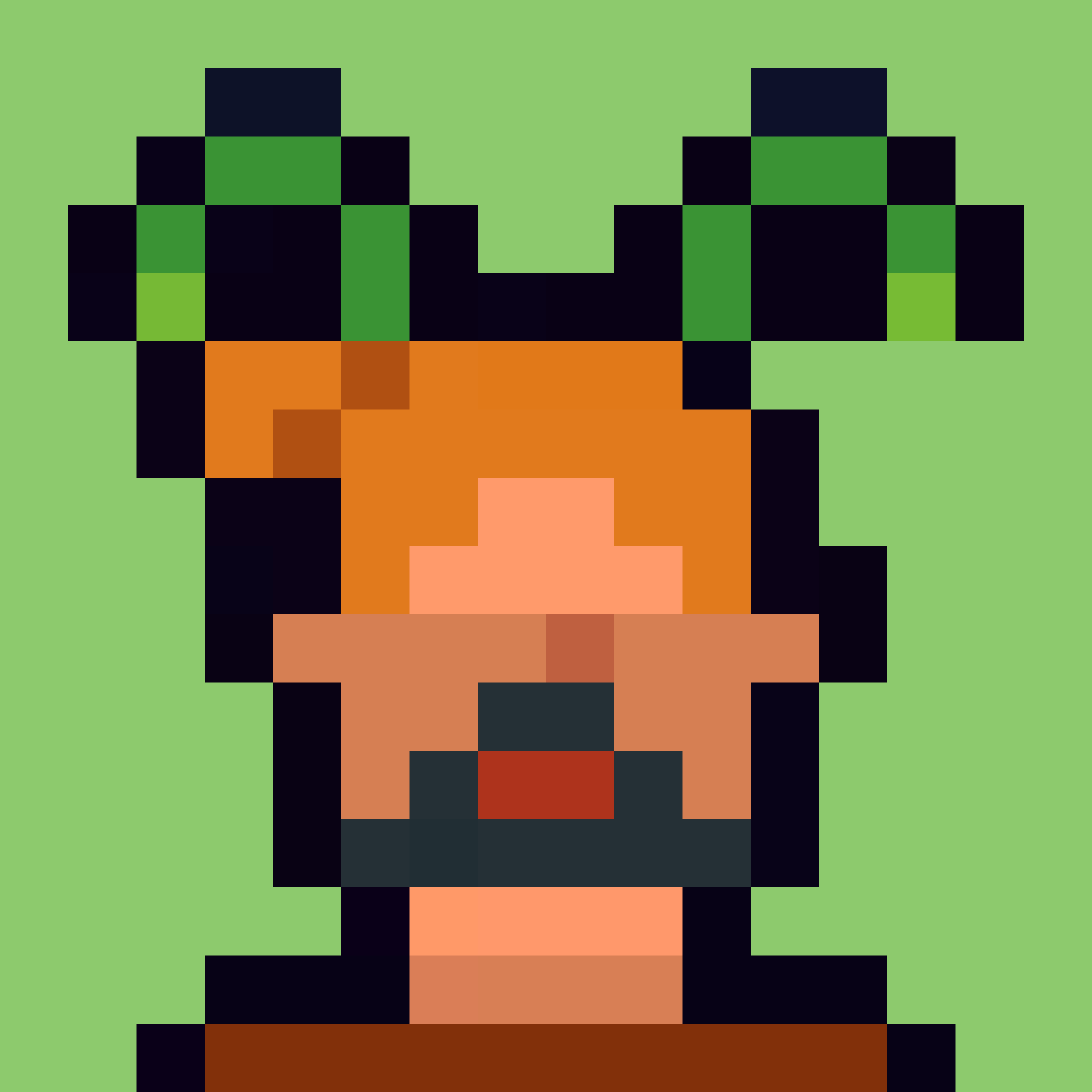 Robin-Punk #5424