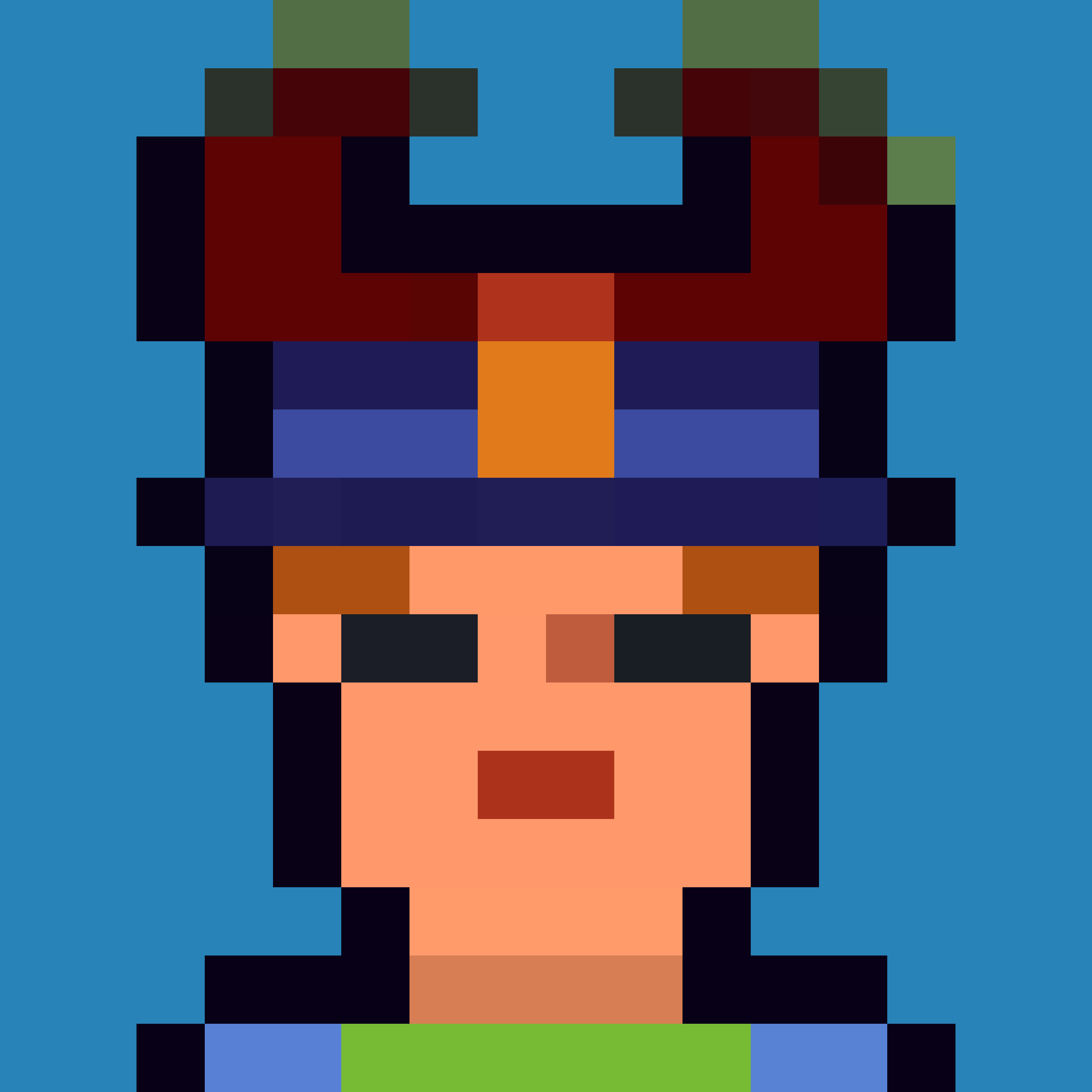 Robin-Punk #5426