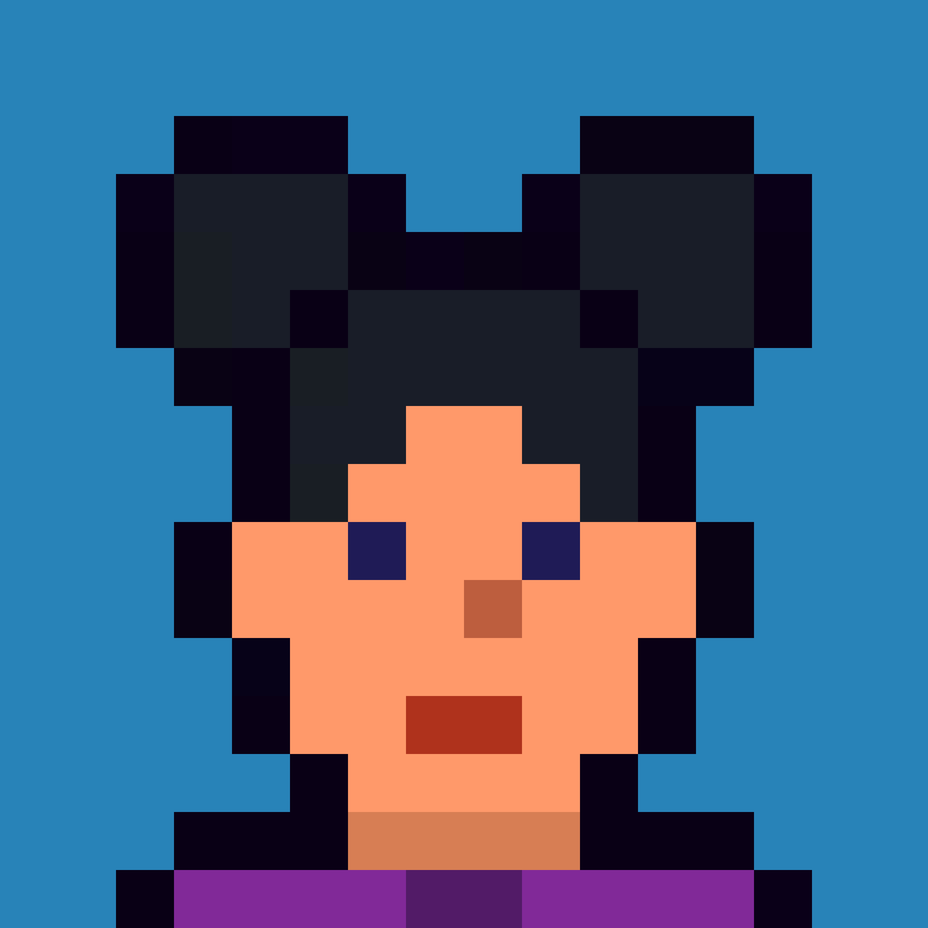 Robin-Punk #6209