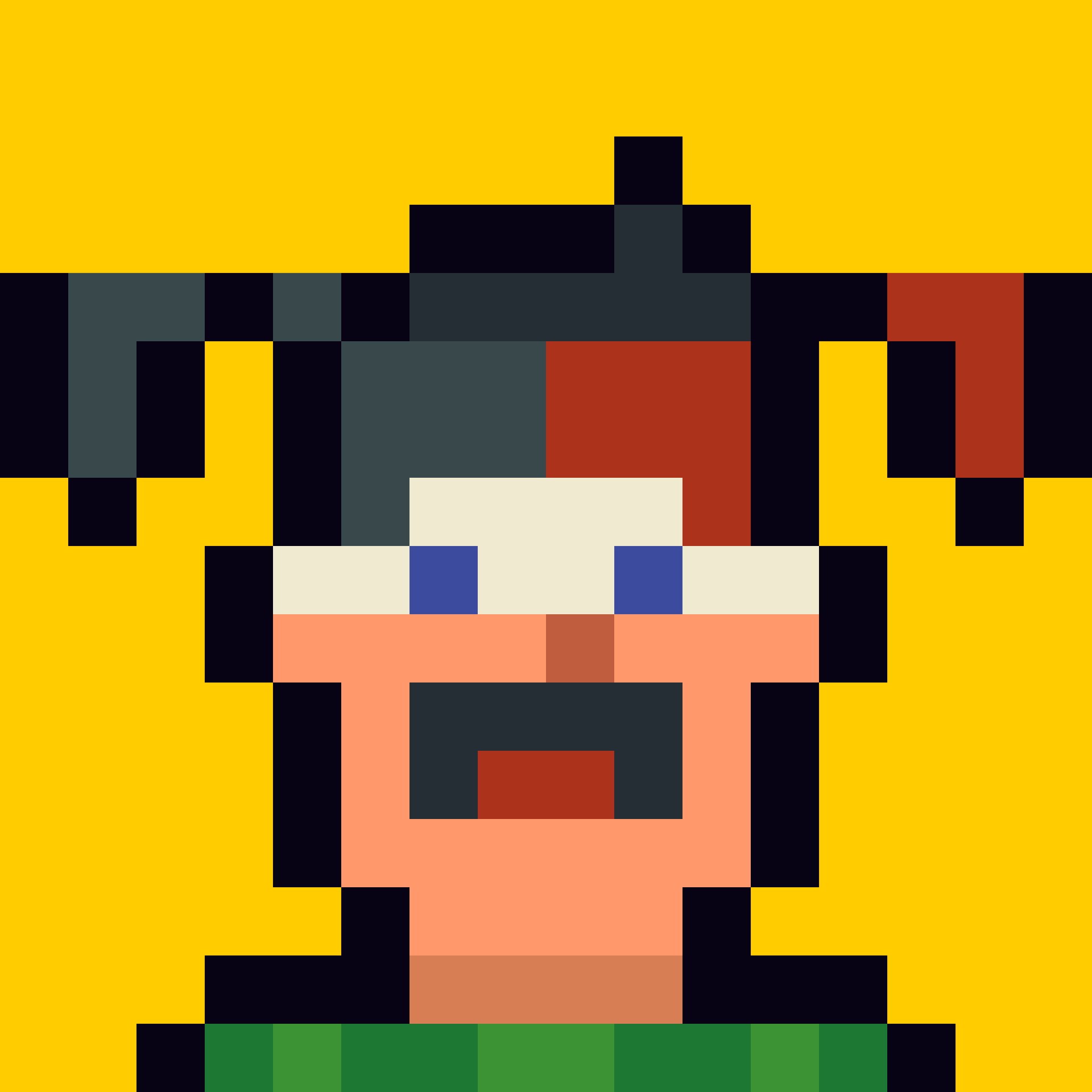 Robin-Punk #6210
