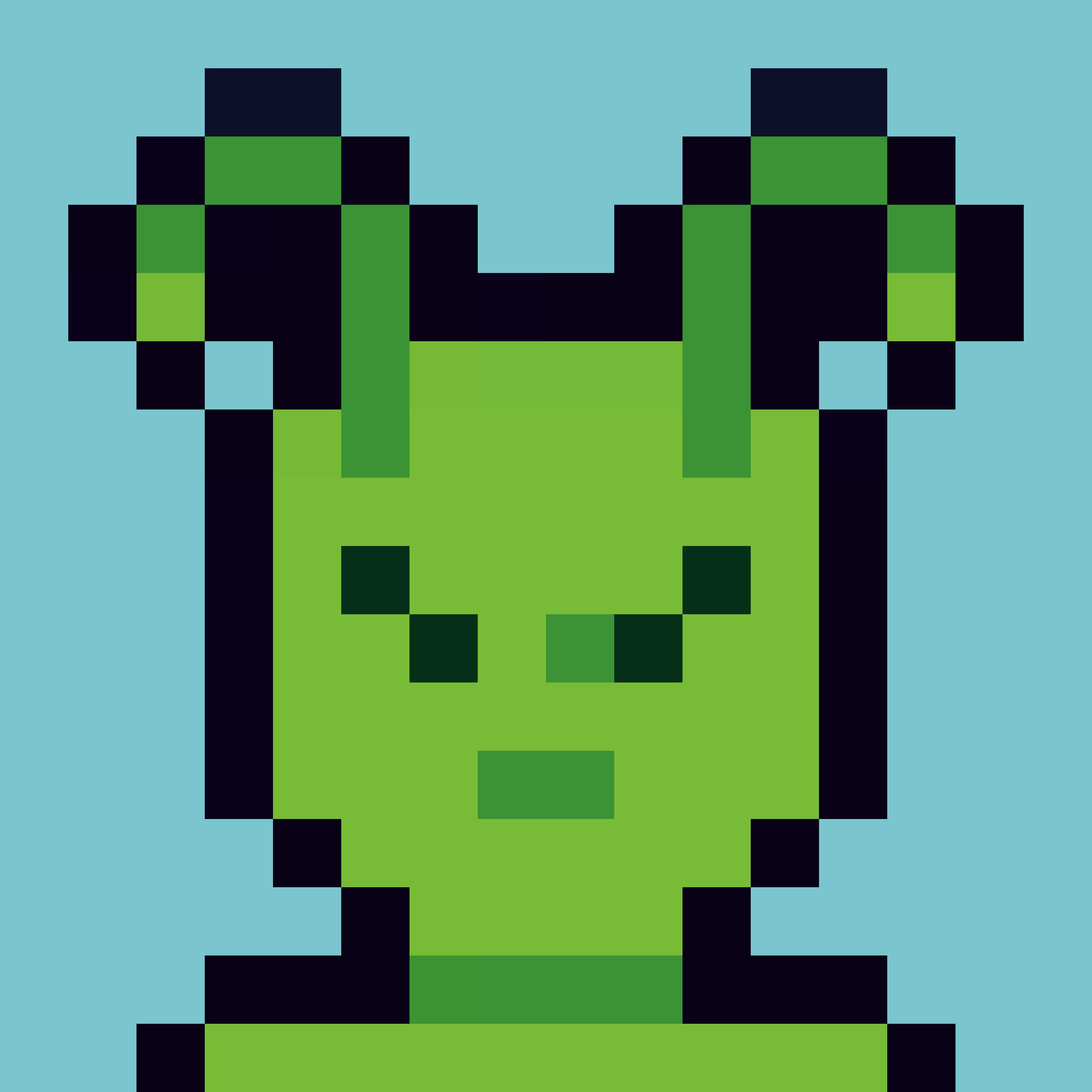 Robin-Punk #6212