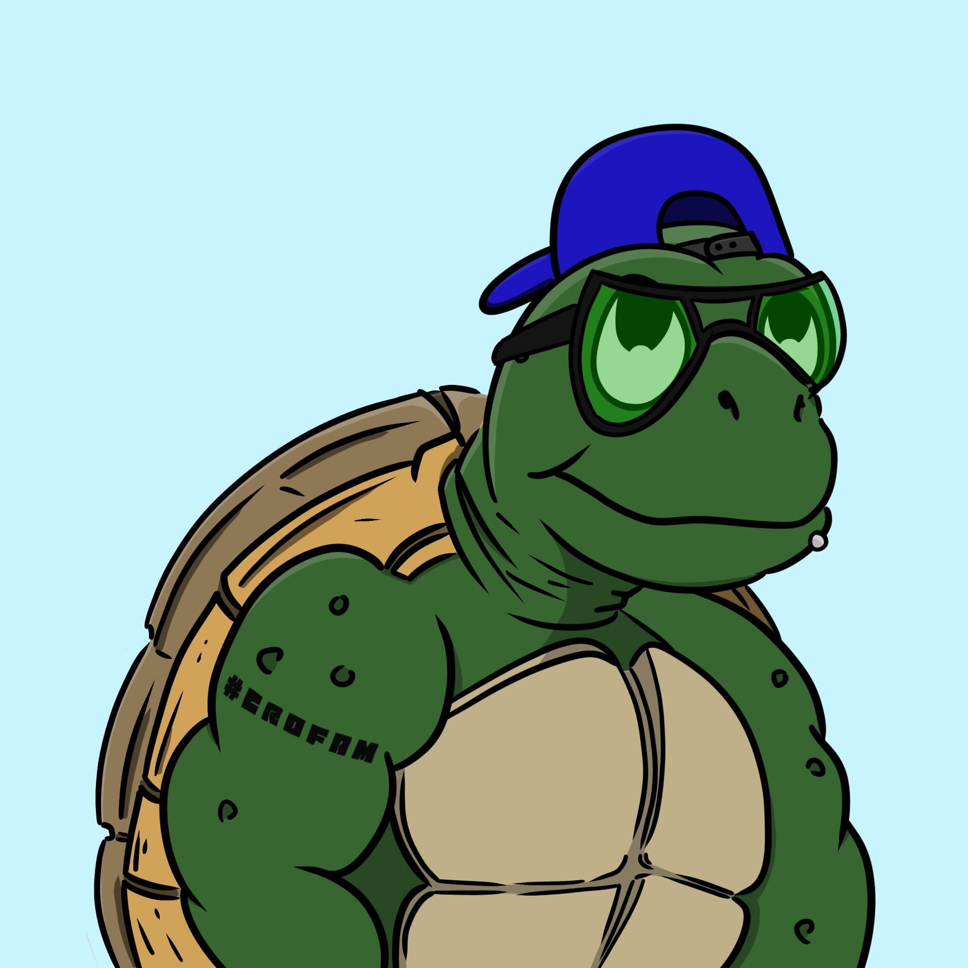 Pico Turtle