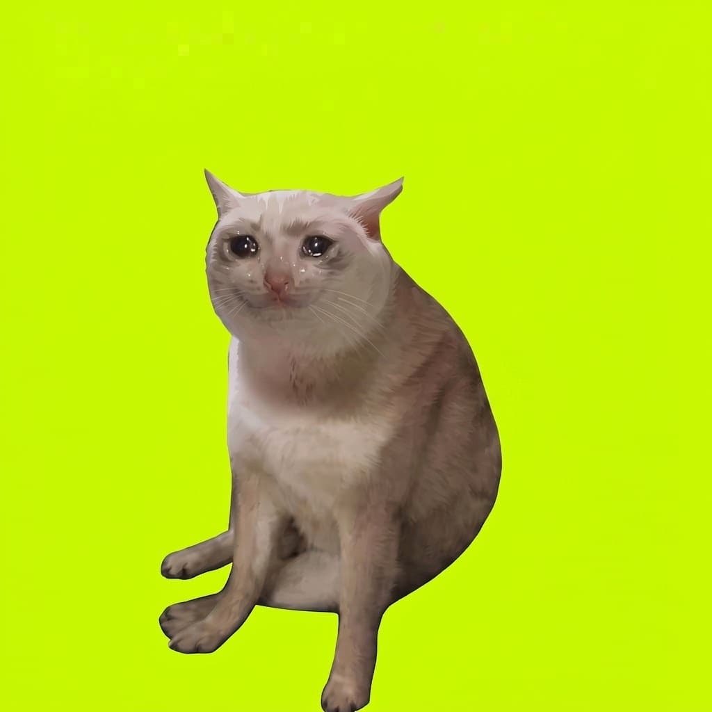 CASHCAT NFT