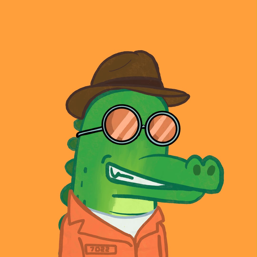 PICO CROCS