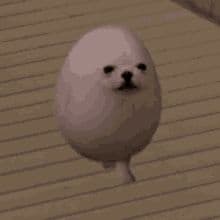 EGGDOG