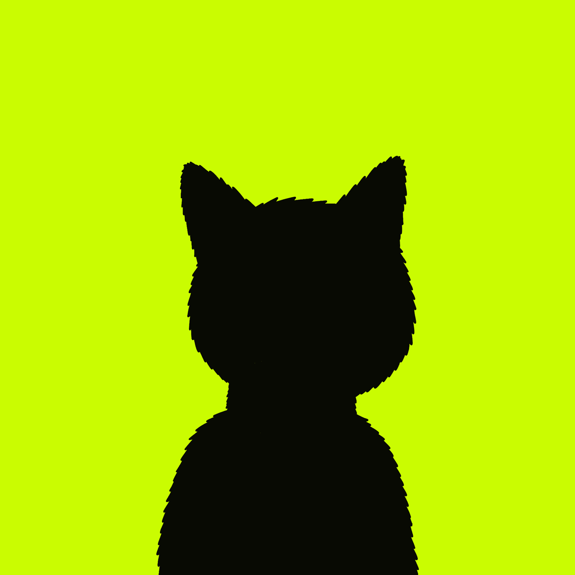 404 Catss