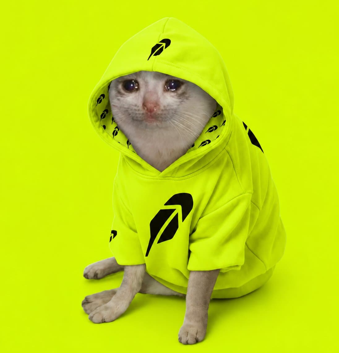 CashCat Club