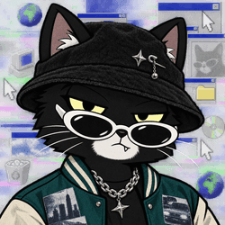 Cache Cats