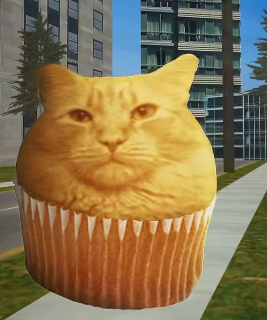 tuk tuk katz