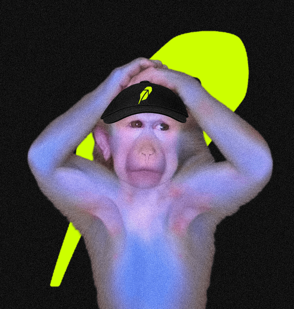 cash monkey