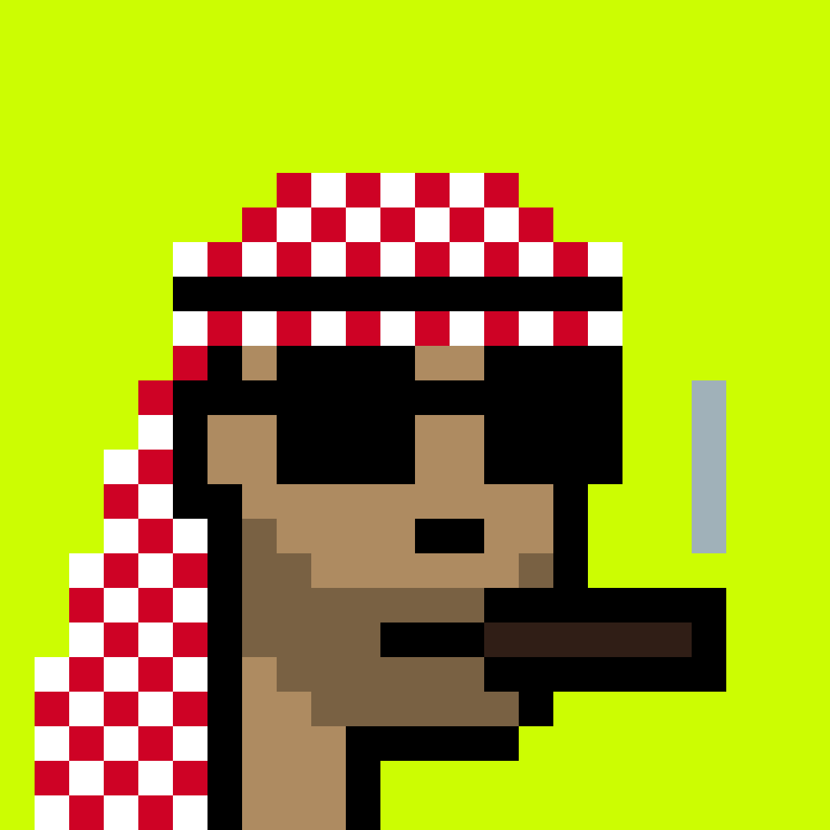 Saudi #1123