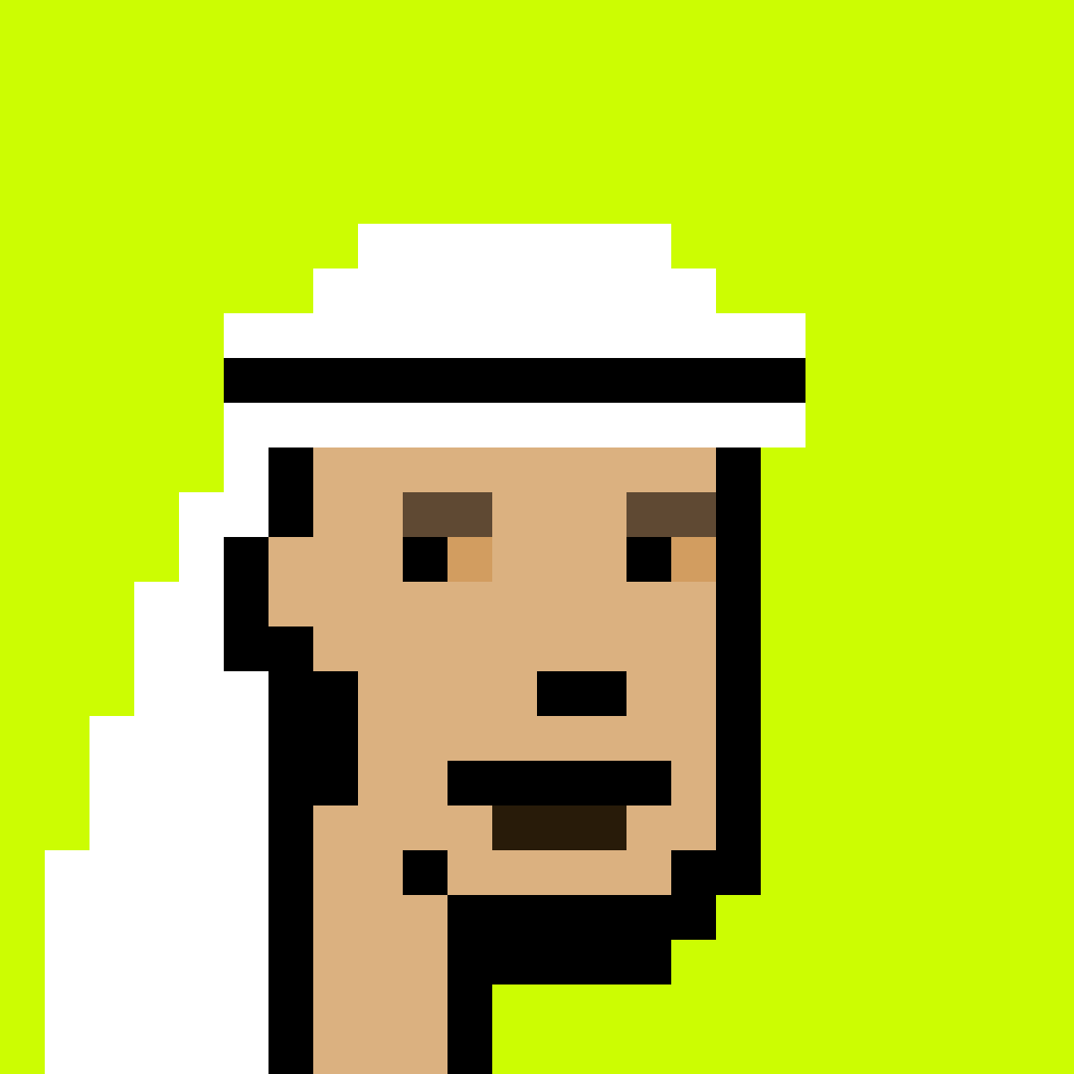 Saudi #231