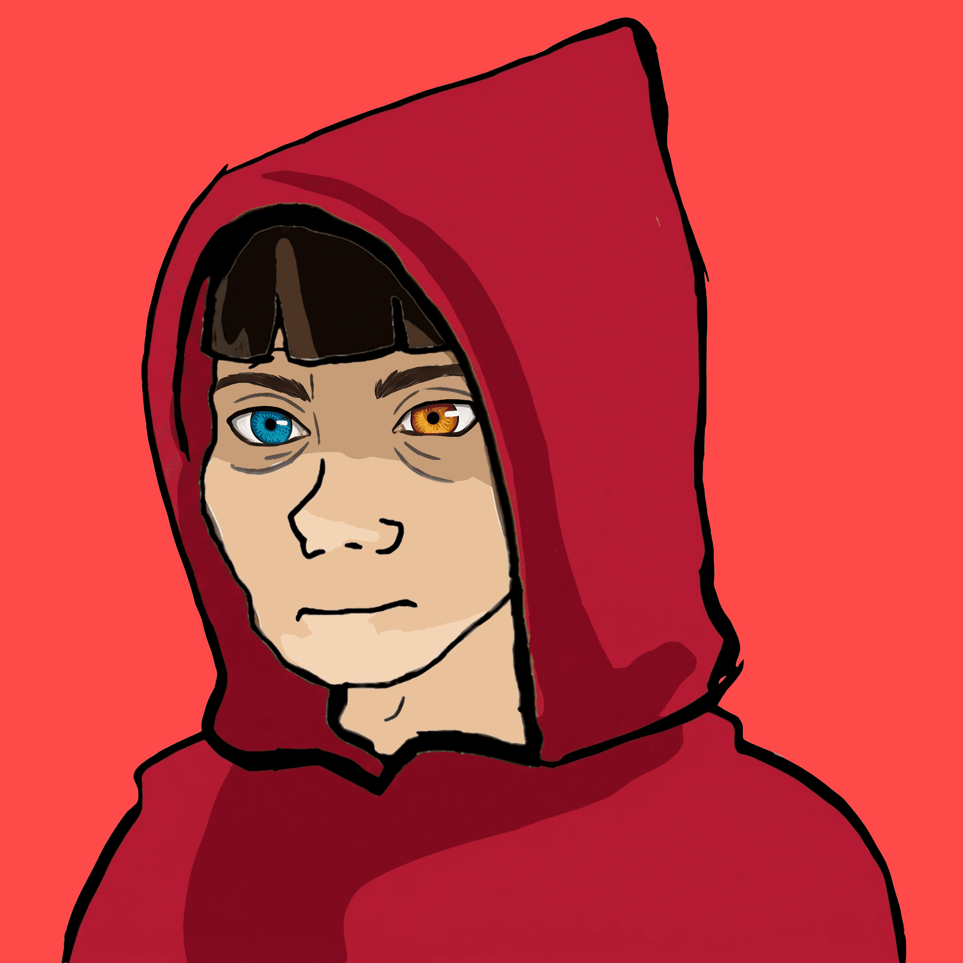 Hoodies #1066
