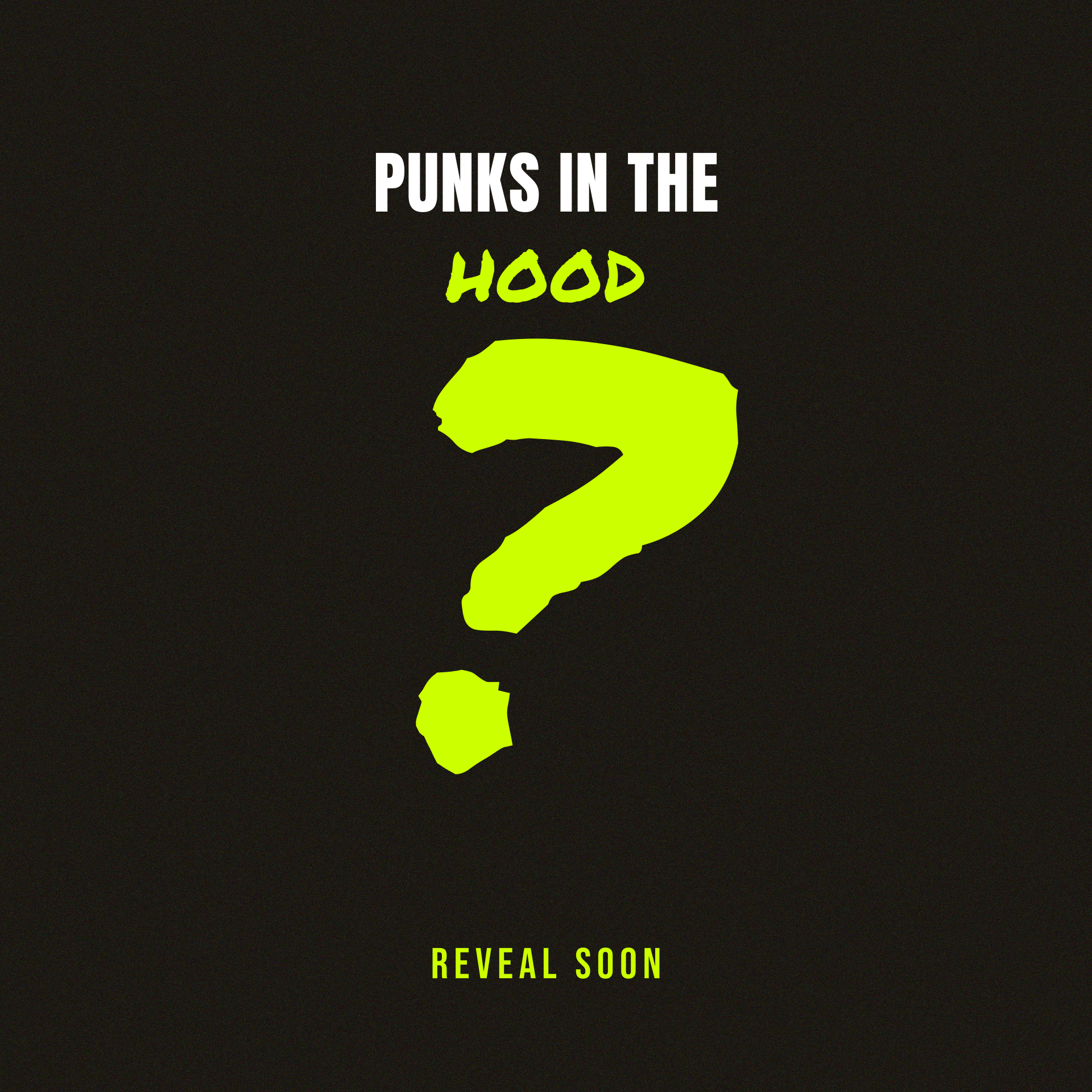 Punk in the Hood