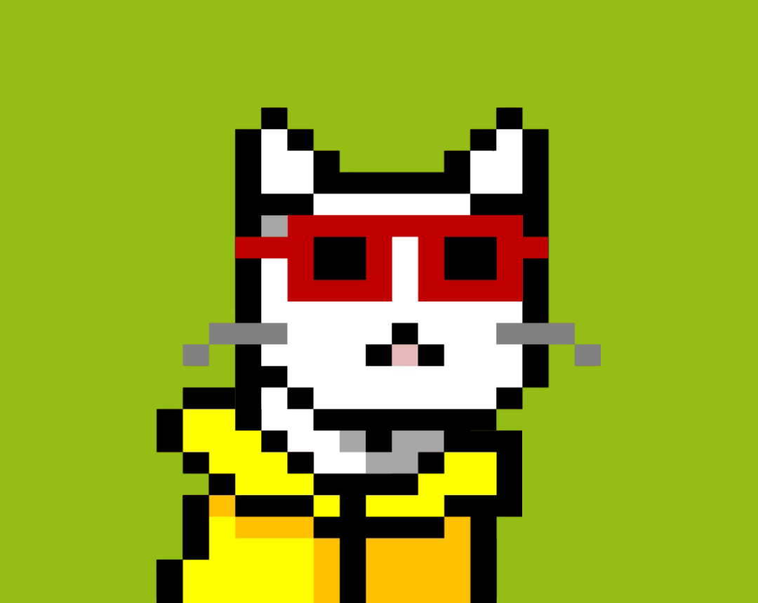 Cash Meow #1020