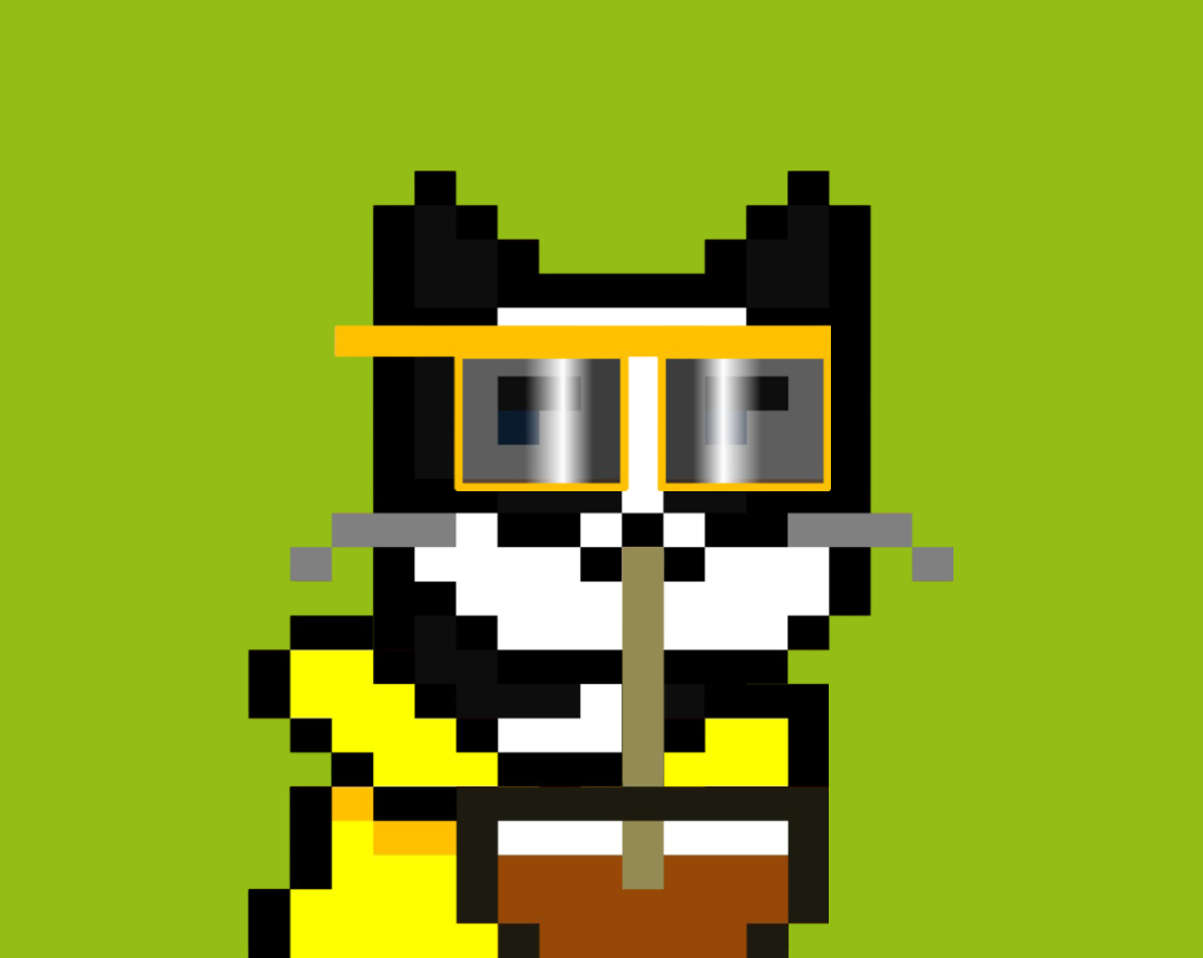 Cash Meow #7993