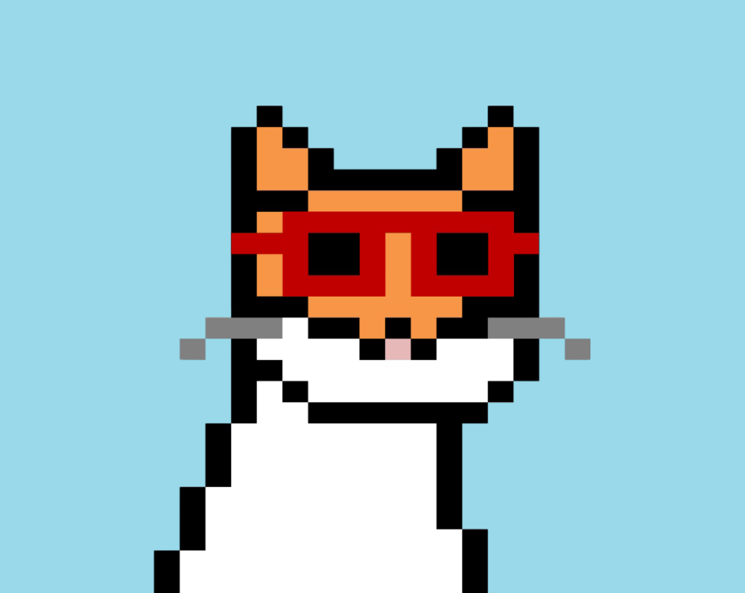 Cash Meow #8166