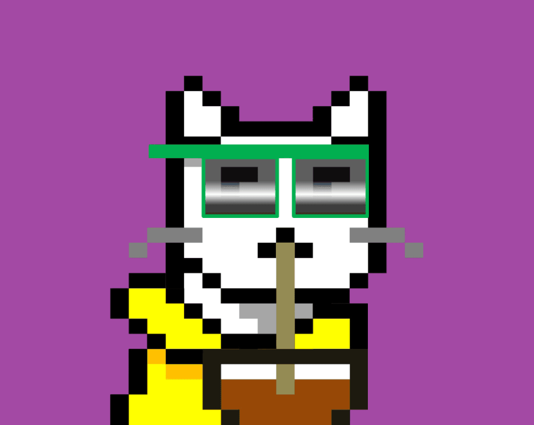 Cash Meow #8672