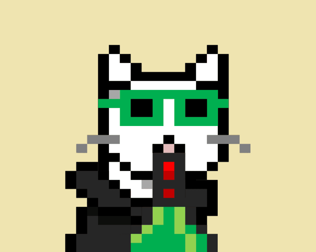 Cash Meow #8675