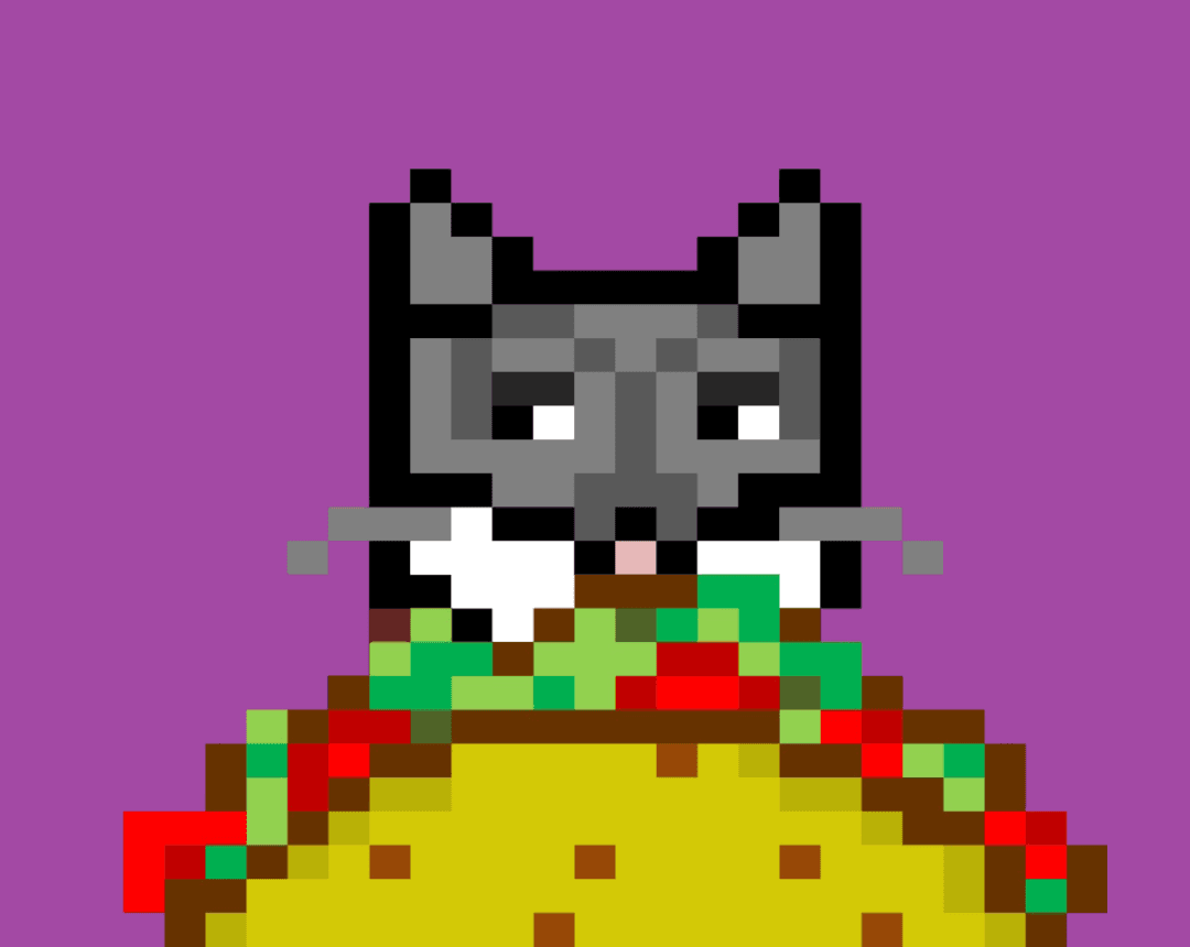Cash Meow #8680