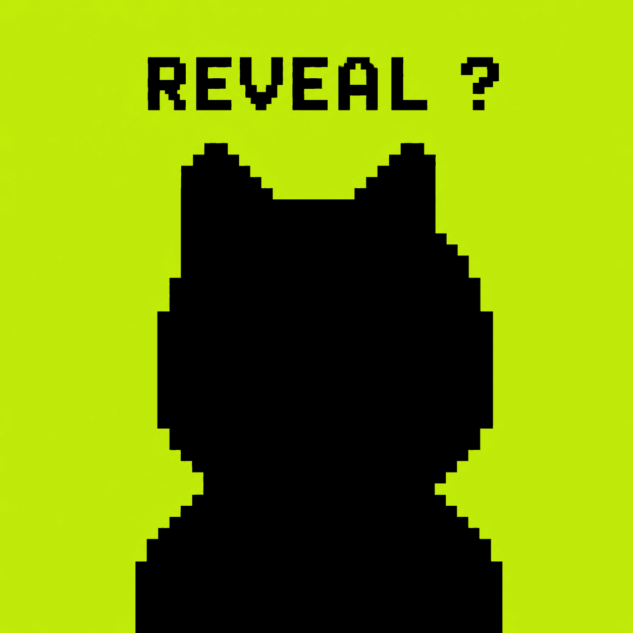 Reveal Doge Brokers ?