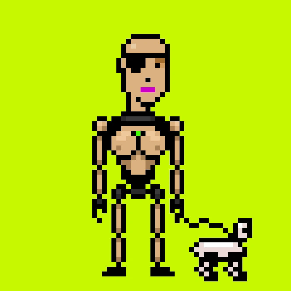 Digital Punks #1797