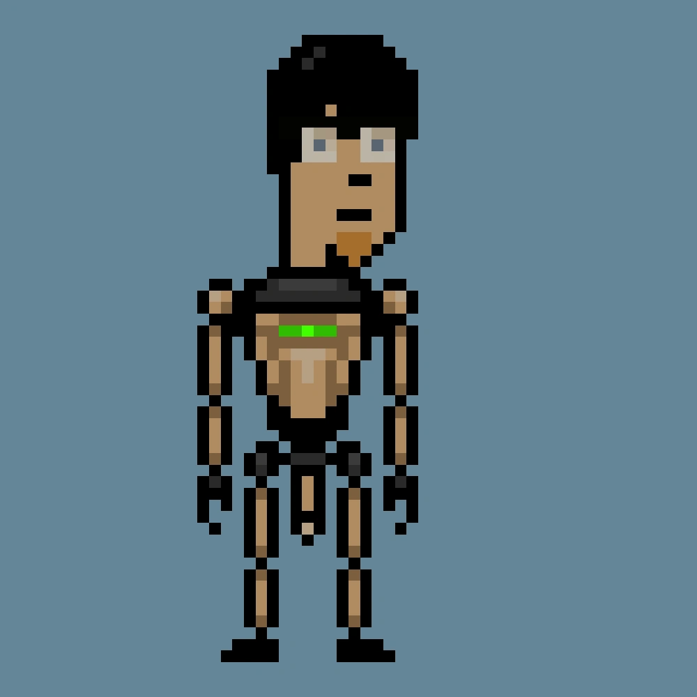 Digital Punks #2079