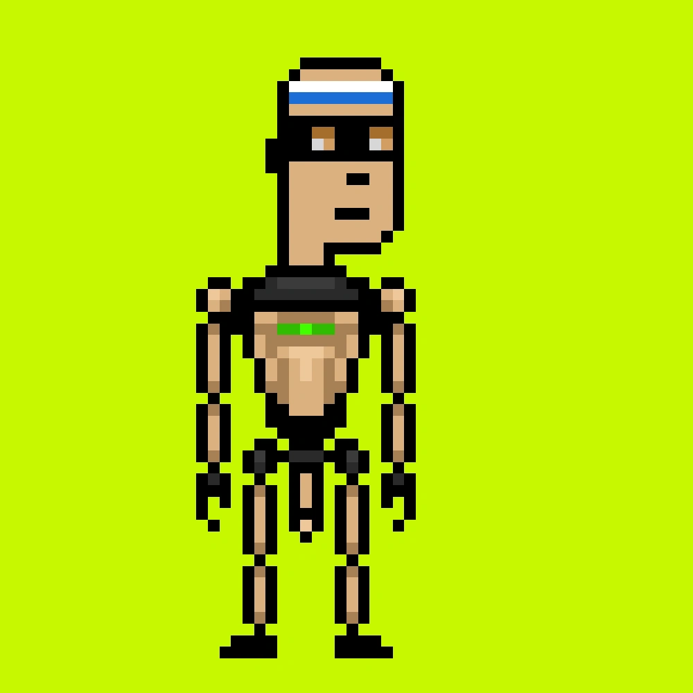 Digital Punks #2080