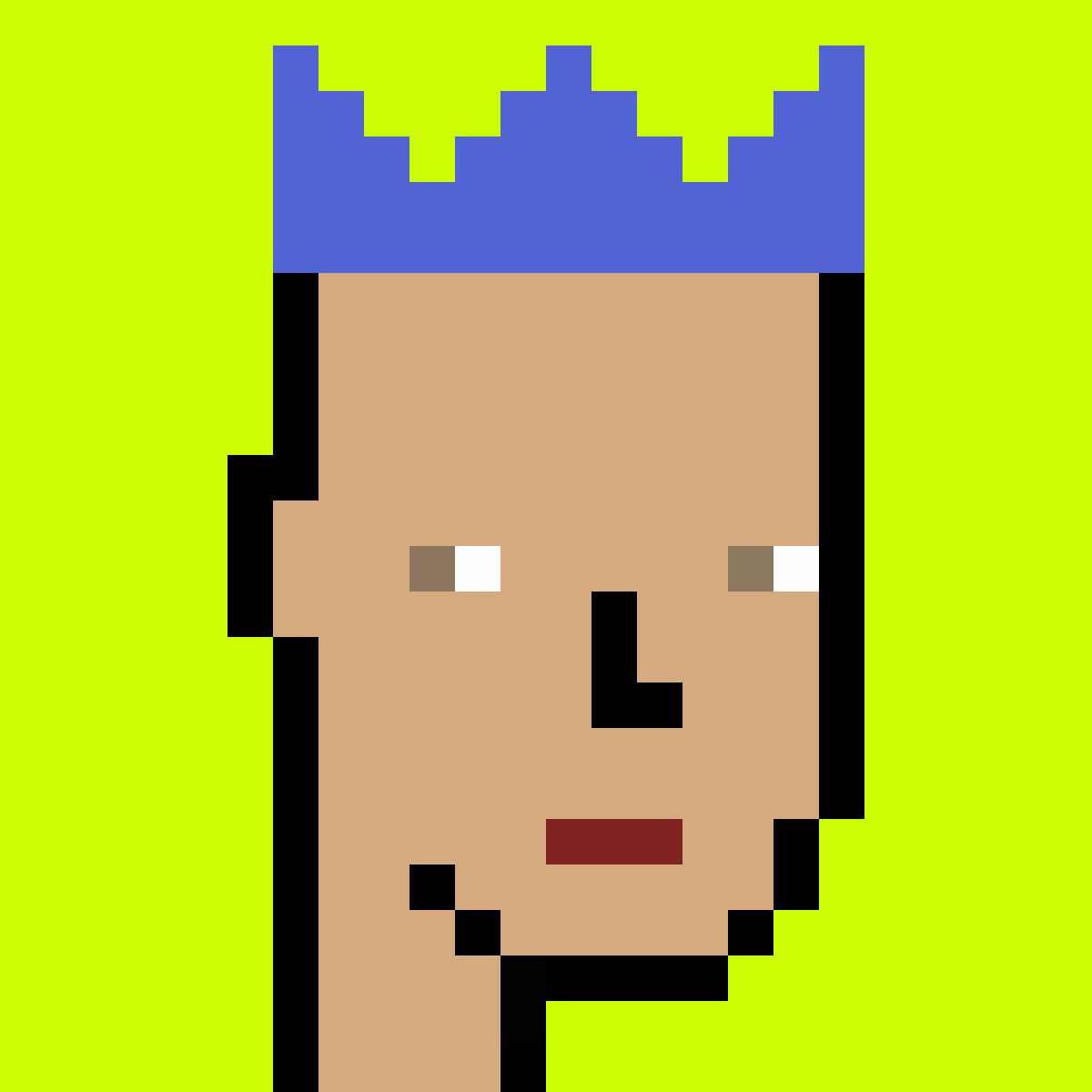 Stonk Punks #1003