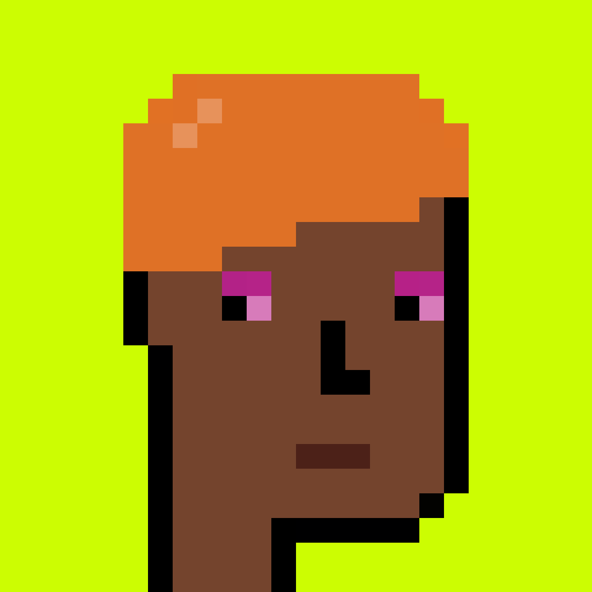 Stonk Punks #1024
