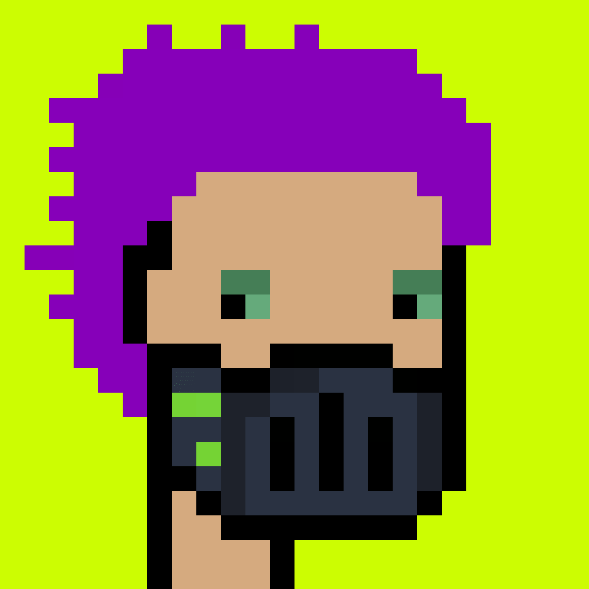 Stonk Punks #1051