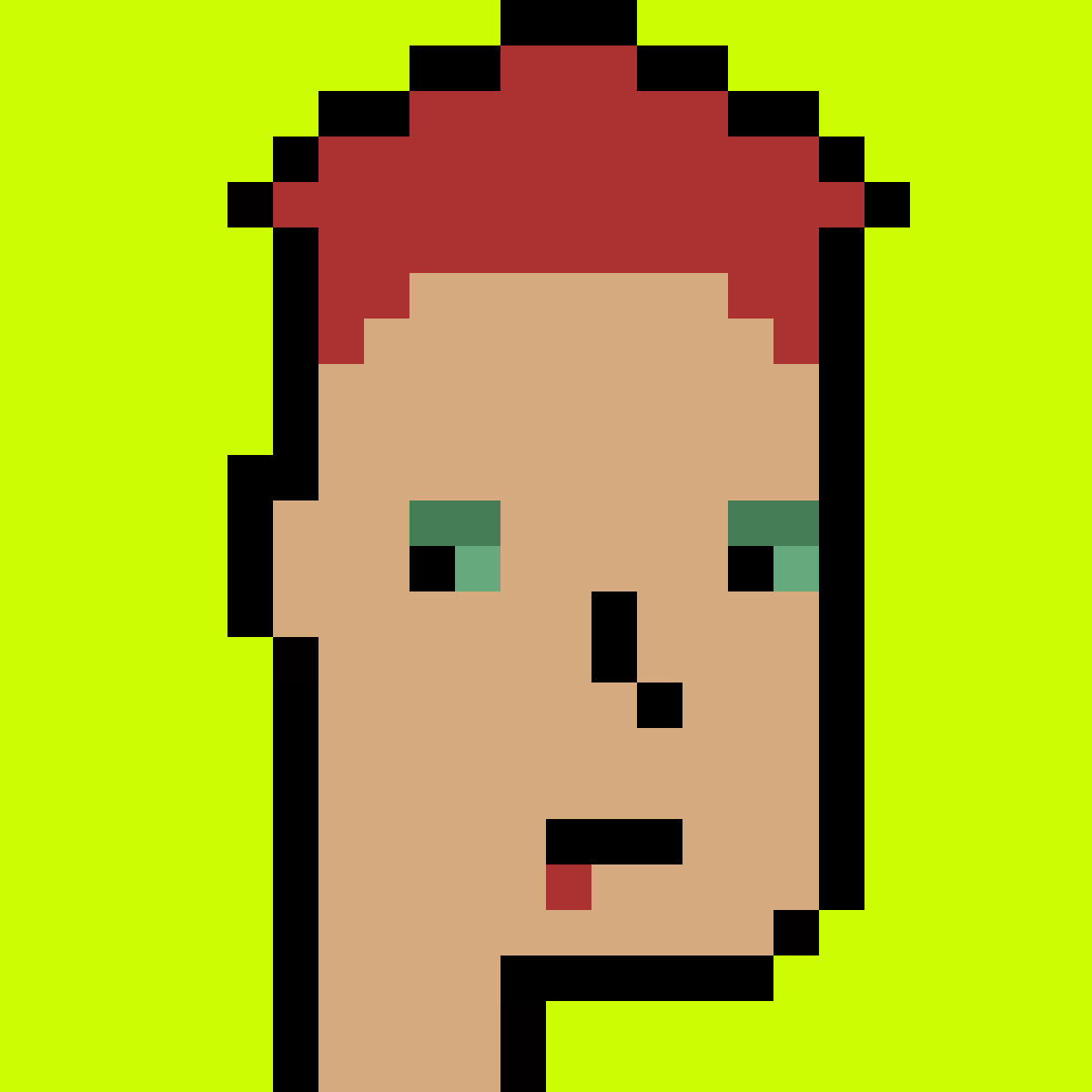 Stonk Punks #1060