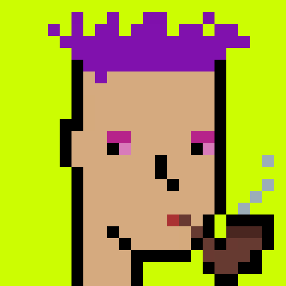 Stonk Punks #1164