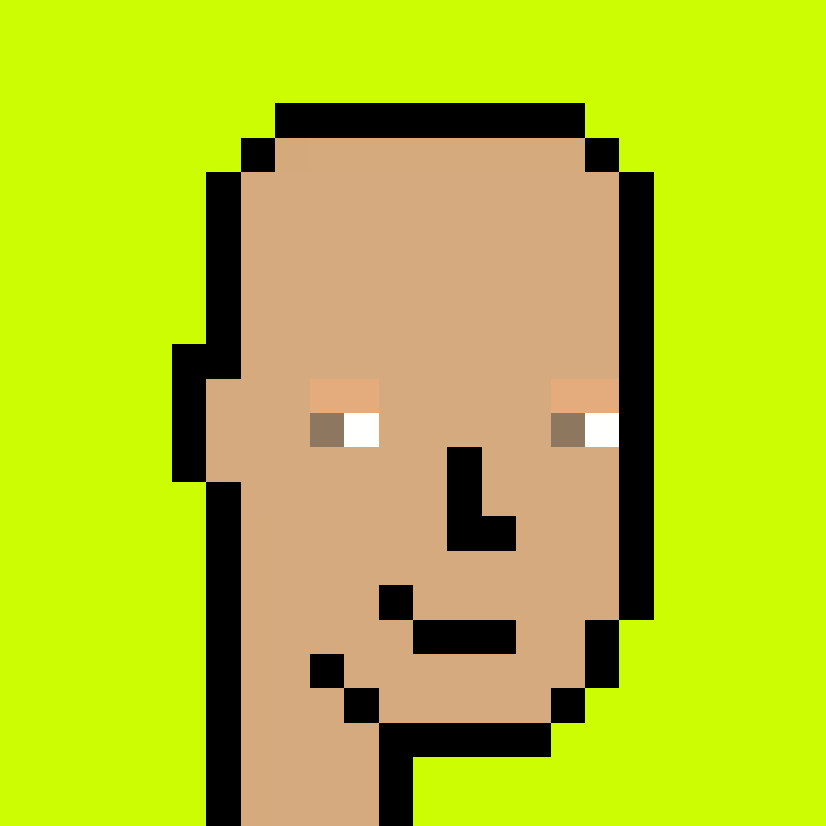 Stonk Punks #1169
