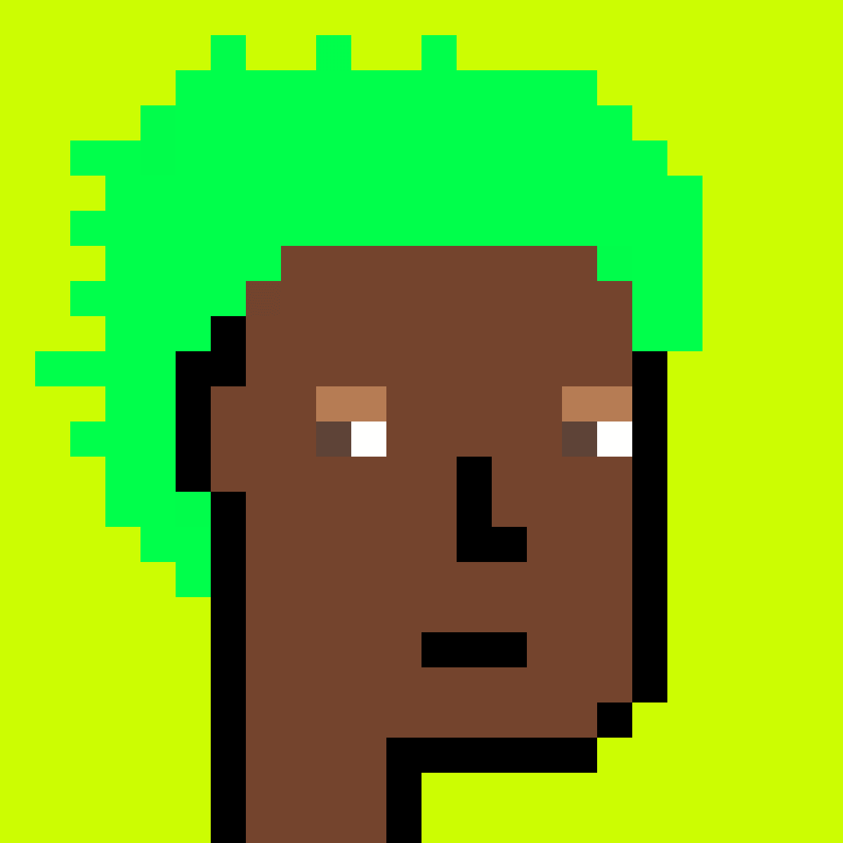 Stonk Punks #1193