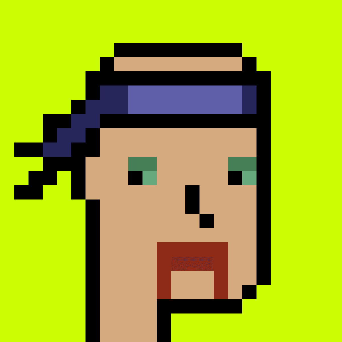 Stonk Punks #225