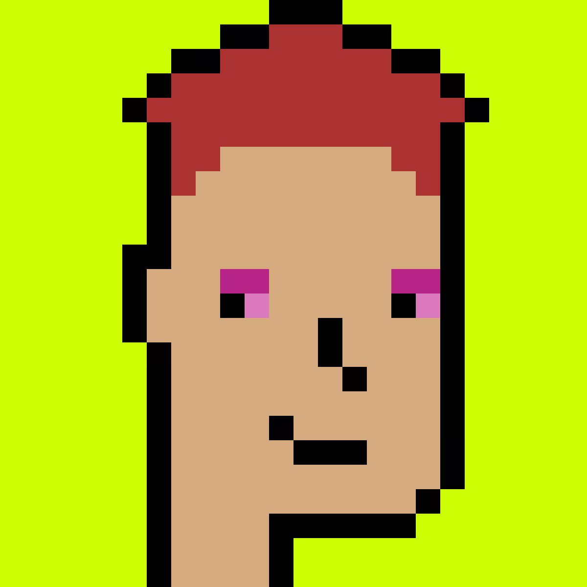 Stonk Punks #253