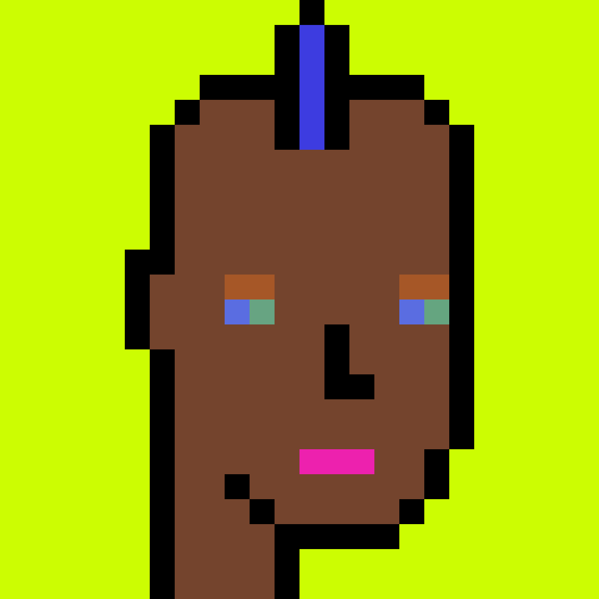Stonk Punks #482